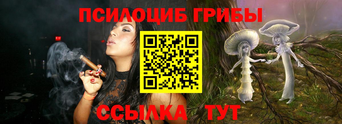 наркота  Вход с VPN  Великий Новгород  Псилоцибиновые грибы Cubensis 