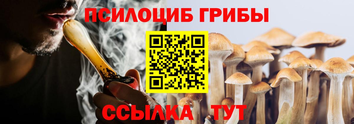 Псилоцибиновые грибы Magic Shrooms Великий Новгород